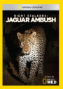 Night Stalkers: Jaguar Ambush