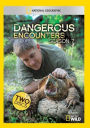 Dangerous Encounters: Backyard Monsters