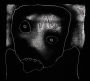Echo Collective Plays Amnesiac