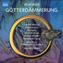 Wagner: G¿¿tterd¿¿mmerung
