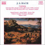 Bach: Coffee Cantata, BWV 211; Peasant Cantata, BWV 212