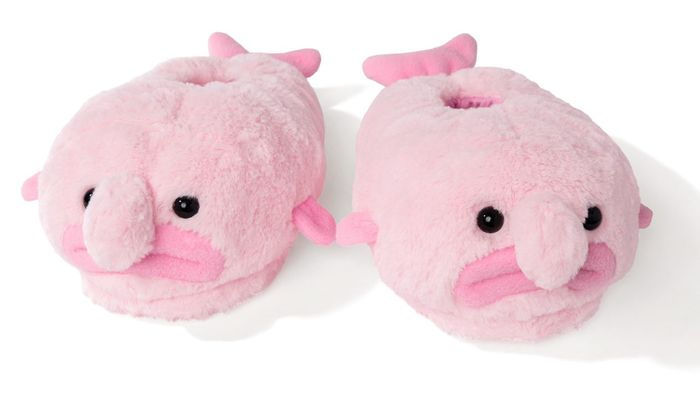 Blobfish Flip Plush Toy