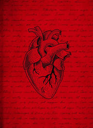 Anatomical Heart Journal (B&N Exclusive)