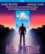 Mr. Destiny [Blu-ray]