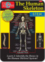 Human Skeleton Magnetic Tin
