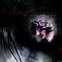 Decibels From Heart