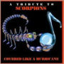 Covered Like a Hurricane: A Tribute to Scorpions