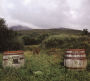Jura