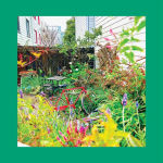 Alternative view 1 of Unwishing Well