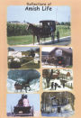 Reflections of Amish Life
