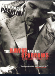 Hawks & Sparrows