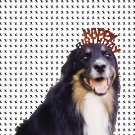Mollie's Mix