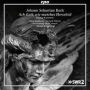 Johann Sebastian Bach: Ach Gott, wie manches Herzeleid - Dialog-Kantaten