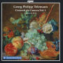 Georg Philipp Telemann: Concerti da Camera, Vol. 1