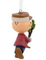 Alternative view 4 of Charlie Brown Tree Resin Figural Ornament