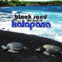 Black Sand: The Best of Kalapana