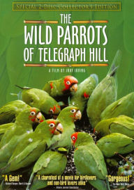 Wild Parrots of Telegraph Hill