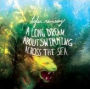A Long Dream About Swimming Across the Sea