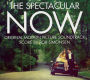 The Spectacular Now