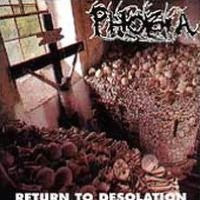 Return to Desolation