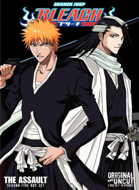 Bleach Uncut: DVD Set One Episodes 21-41 [5 Discs] [DVD] - Best Buy