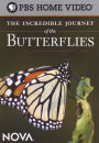 NOVA: The Incredible Journey of the Butterflies