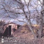 Root Cellar