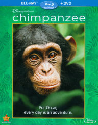 Chimpanzee
