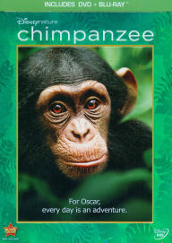 Chimpanzee