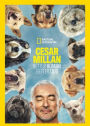 Cesar Milan: Better Human, Better Dog [2 Discs]