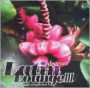 Abstract Latin Lounge, Vol. 3