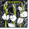 Mecca Normal (1st Album)