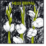 Mecca Normal (1st Album)