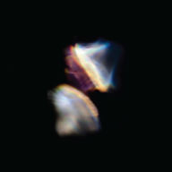 Title: Borders [Digital Download Card] [LP], Artist: Emptyset