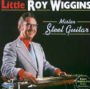 Mister Steel Guitar