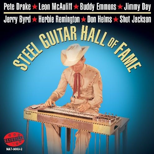 steel guitar hall of fame