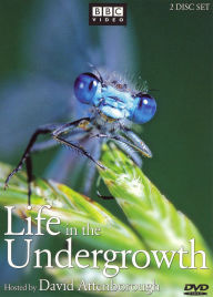 Life in the Undergrowth