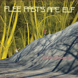 Orchid Spangiafora Flee Pasts Ape Elf Orchid Spangiafora Flee Pasts Ape Elf