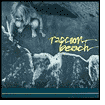 Raccoon Beach