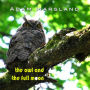 The Owl and the Full Moon