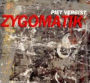 Zygomatik