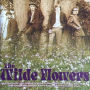 The Wilde Flowers