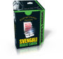 Svengali Magic Cards
