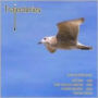 David Gorton: Trajectories