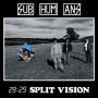 29:29 Split Vision [Red Vinyl]
