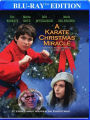 A Karate Christmas Miracle