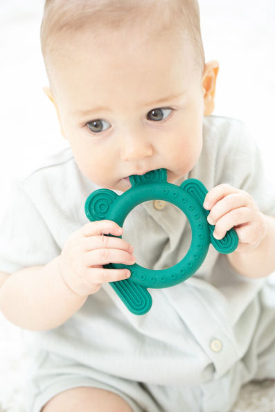 FROG RATTLE TEETHER