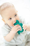 Alternative view 4 of FROG RATTLE TEETHER