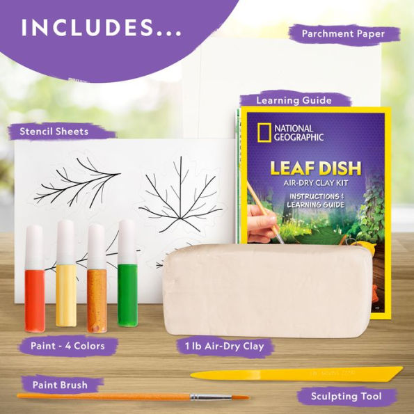 National Geographic Leaf Dish Air-Dry Clay Kit