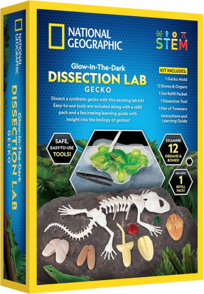 National Geographic Glow in the Dark Dissection Lab Gecko